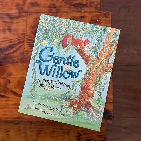Vintage 2004 Gentle Willow A Story For Children About Dying Paperback Book - Picture 1 of 9